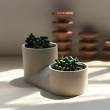 Double Planter