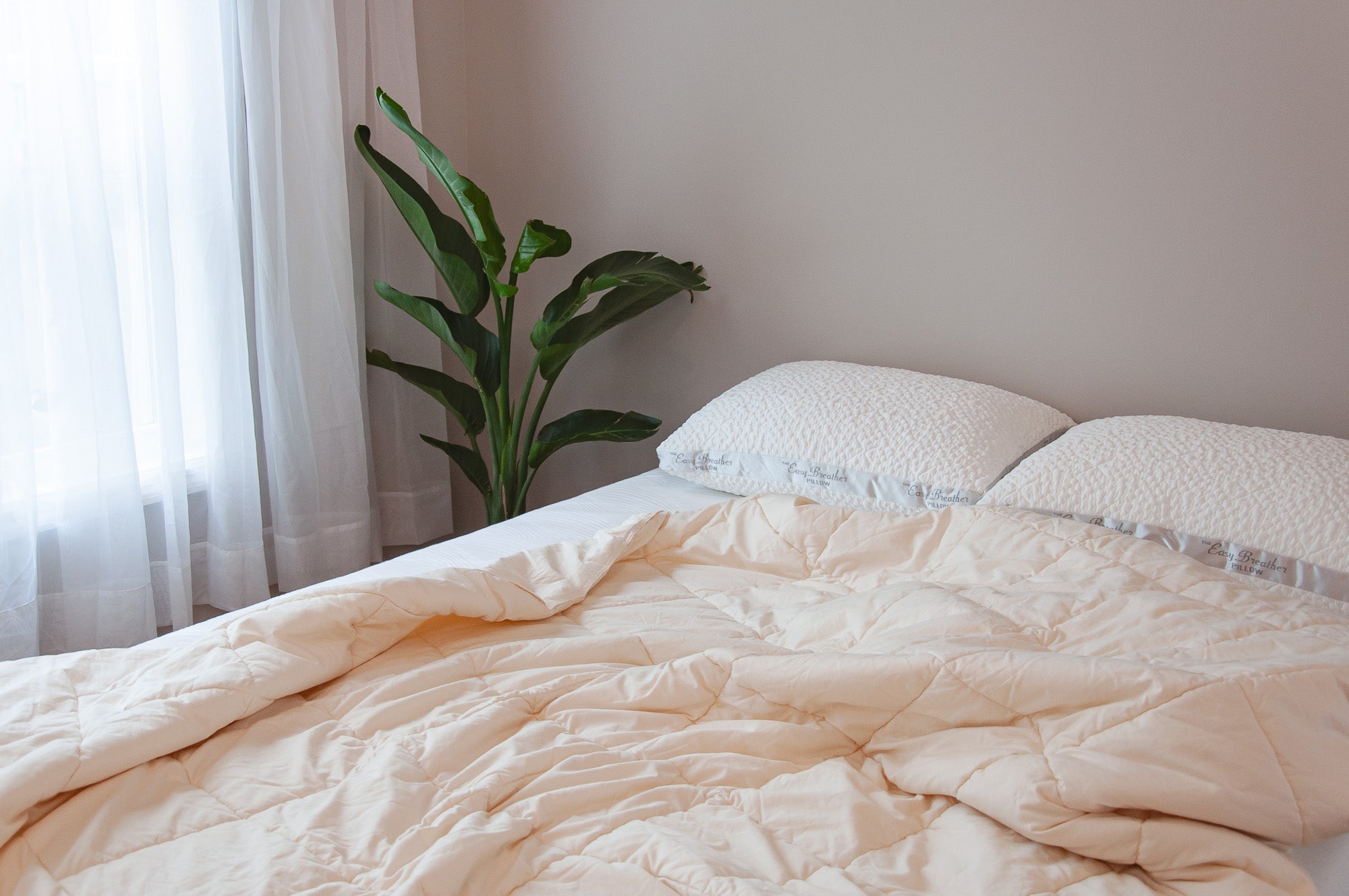 Nest Bedding Wool Comforter