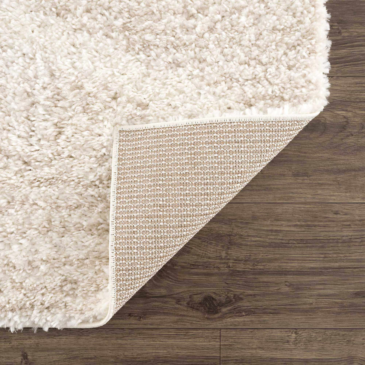 Trunding Plush Area Rug in Light Beige
