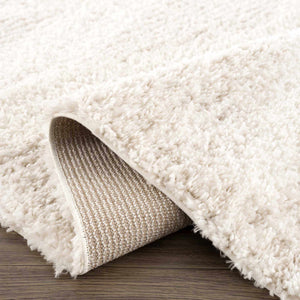 Trunding Plush Area Rug in Light Beige
