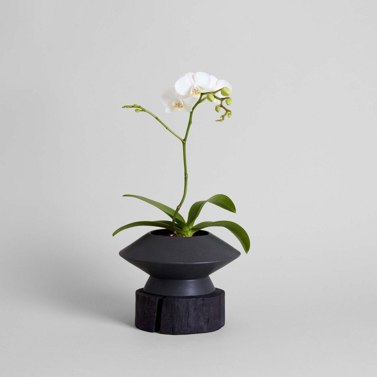 Round Pedestal Wood Base