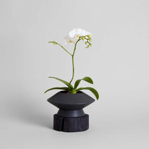 Round Pedestal Wood Base