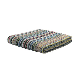 Desert Cactus Chevron