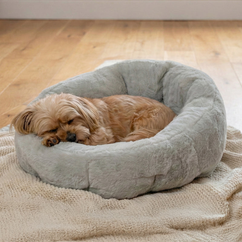 Calming Lounger Dog Bed