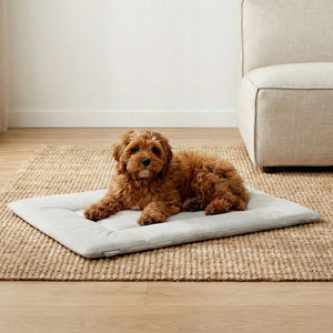 PAWD Crate Pad & Dog bed