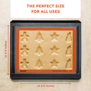 Silpat Holiday Treats Mold