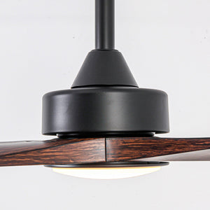 60 Inch Alexi DC Motor Modern Downrod Ceiling Fan with LED Light