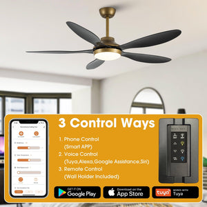 52" Punjab Smart Fan with LED Light