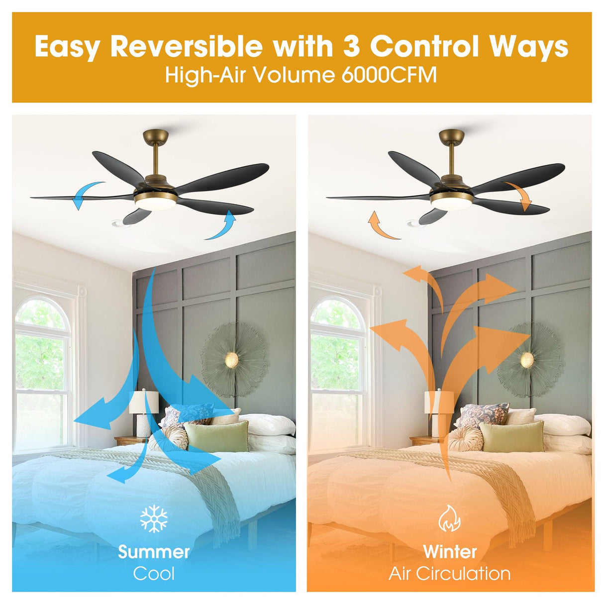 52" Punjab Smart Fan with LED Light