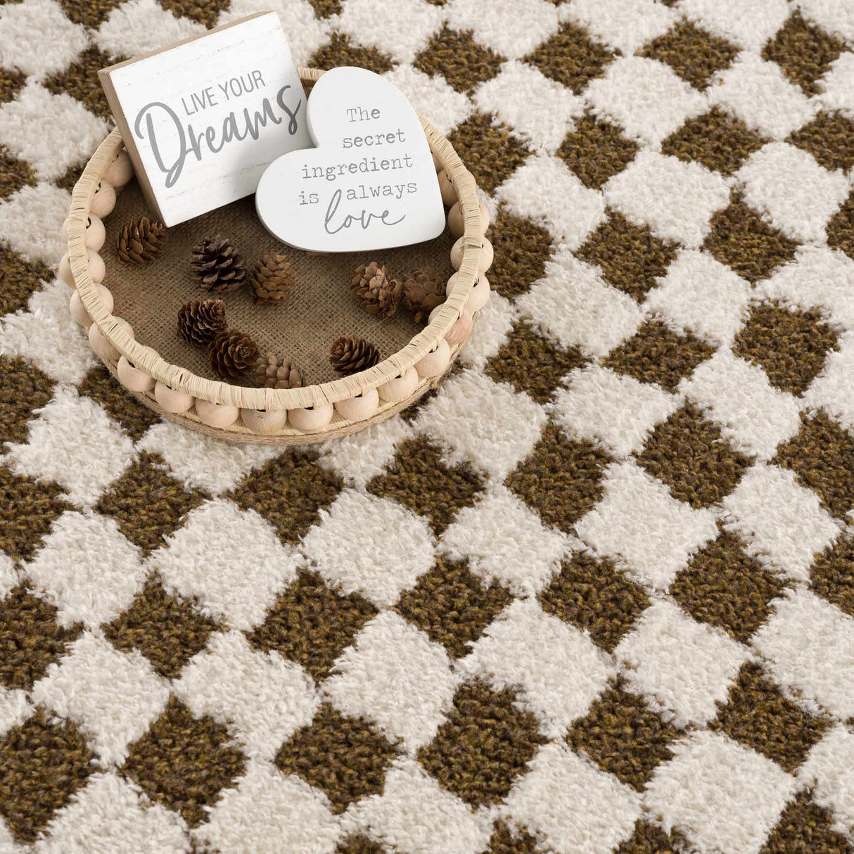 Leryn Brown & White Checkered Area Rug