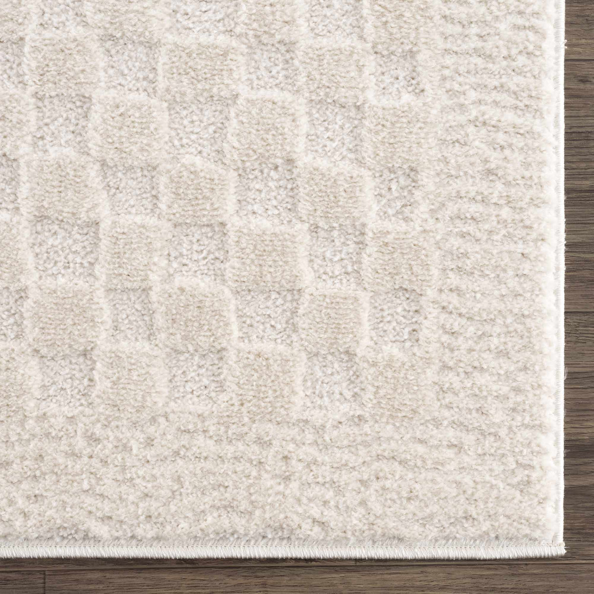 Leryn Ivory Checkered Area Rug