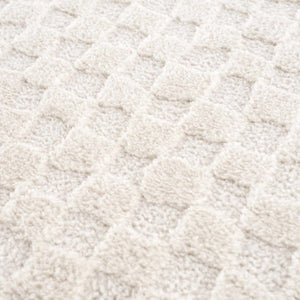 Leryn Ivory Checkered Area Rug
