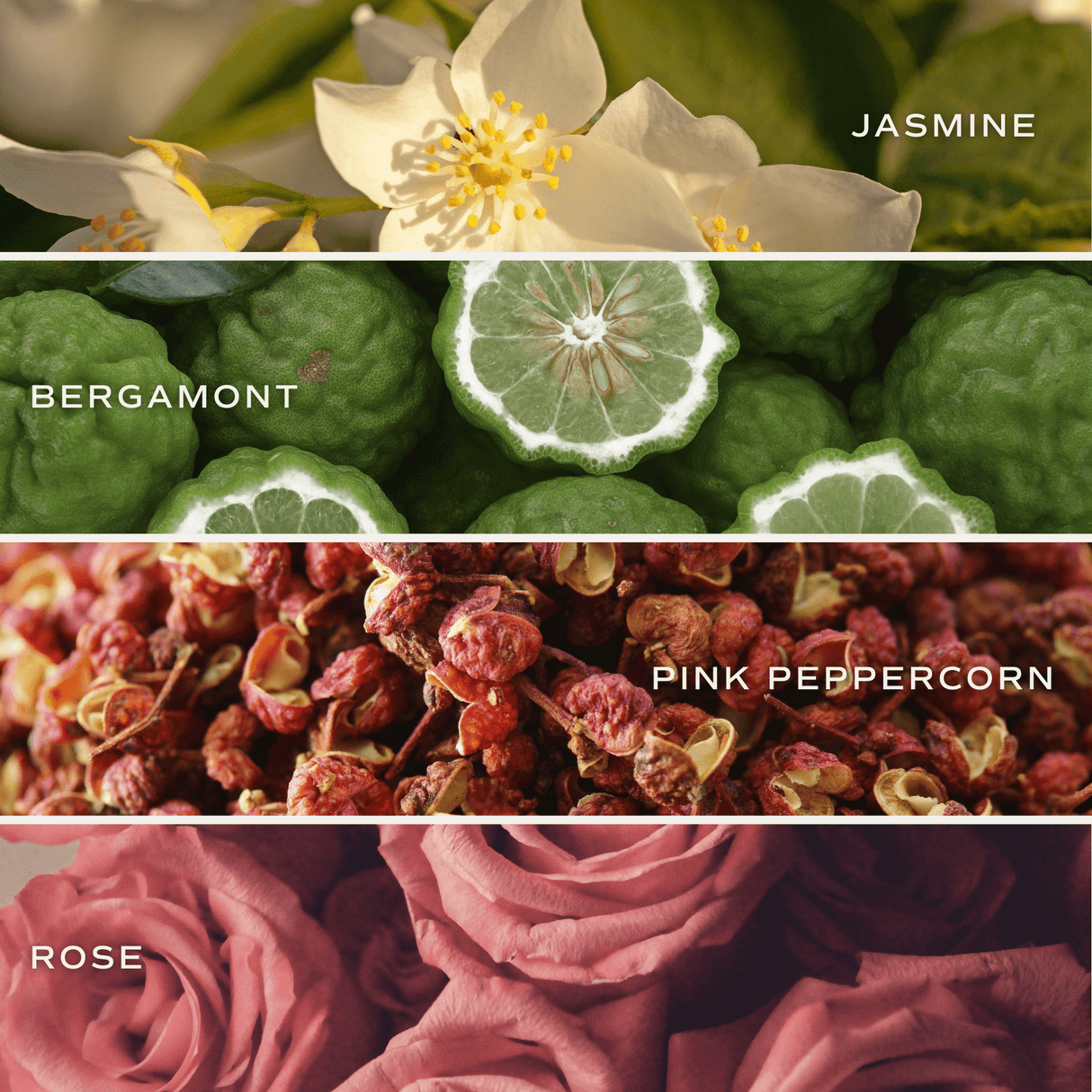 Flower Shop Soy Candle - Clear Jar - 9 oz