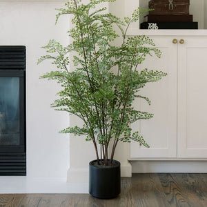 Faux Maidenhair Fern