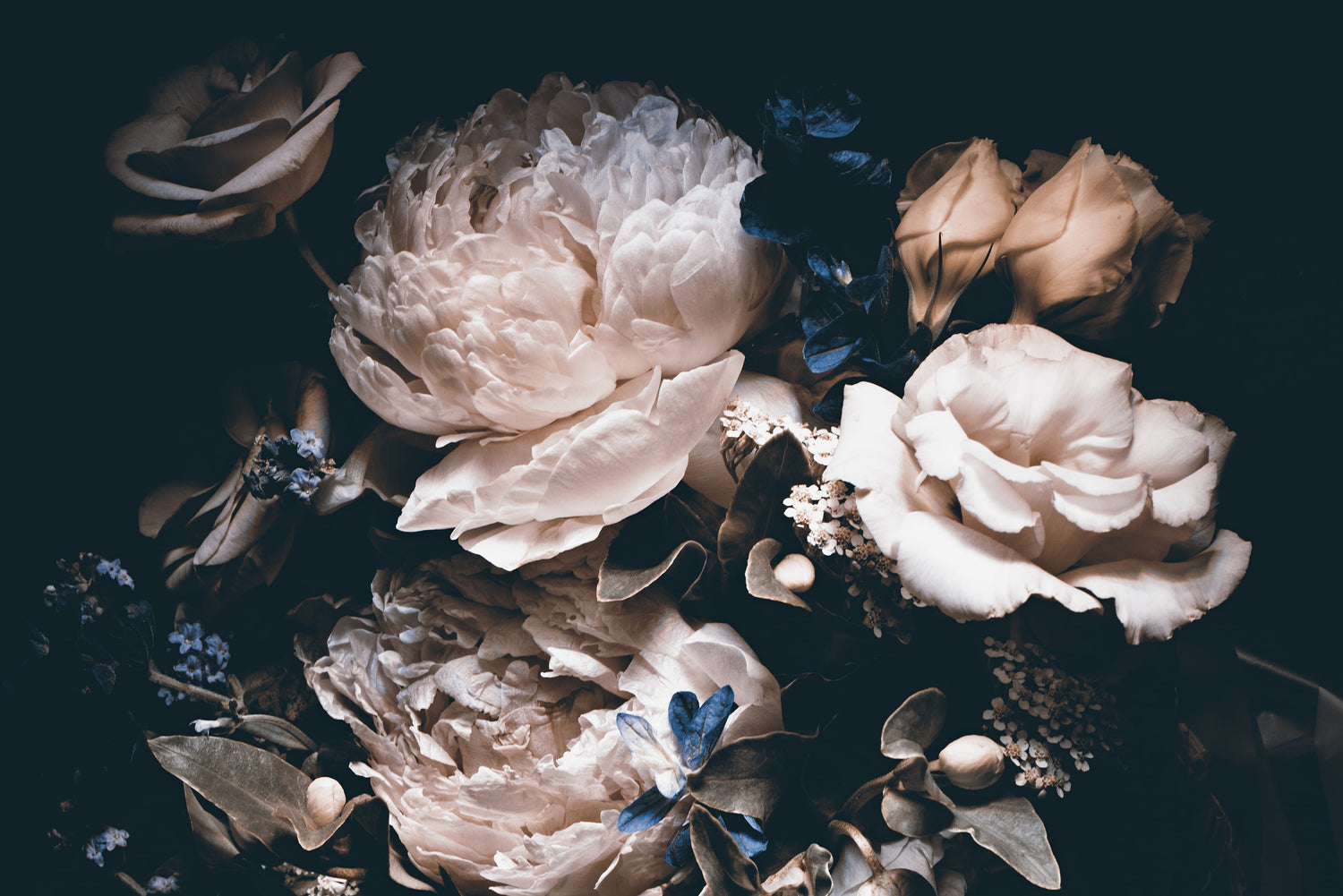 Large Dark Peony Mural Wallpaper