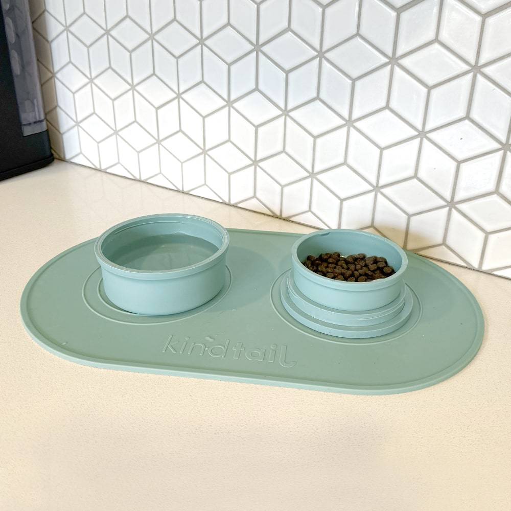 Portable & Travel Dog Bowl