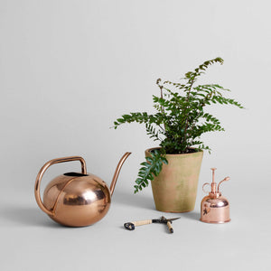 Beatrix Watering Can