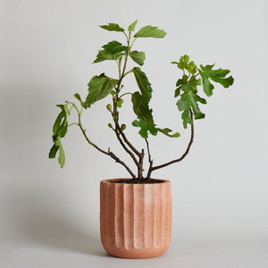 Fluted Planter