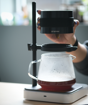 Graycano Pourcano 0.5L Borosilicate Glass Carafe
