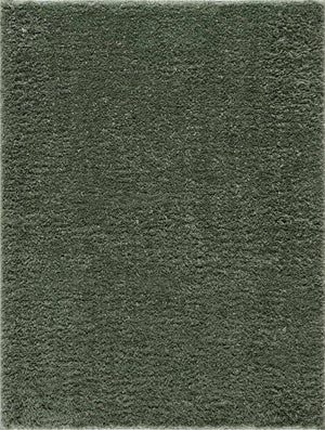 Faina Solid Green Shag Washable Area Rug - Clearance