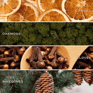 Holiday Soy Candle - White Jar - 11 oz