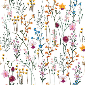 Colorful Wildflowers Herbarium Wallpaper