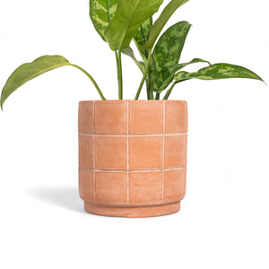 Grid Small Terracotta Planter by MESO