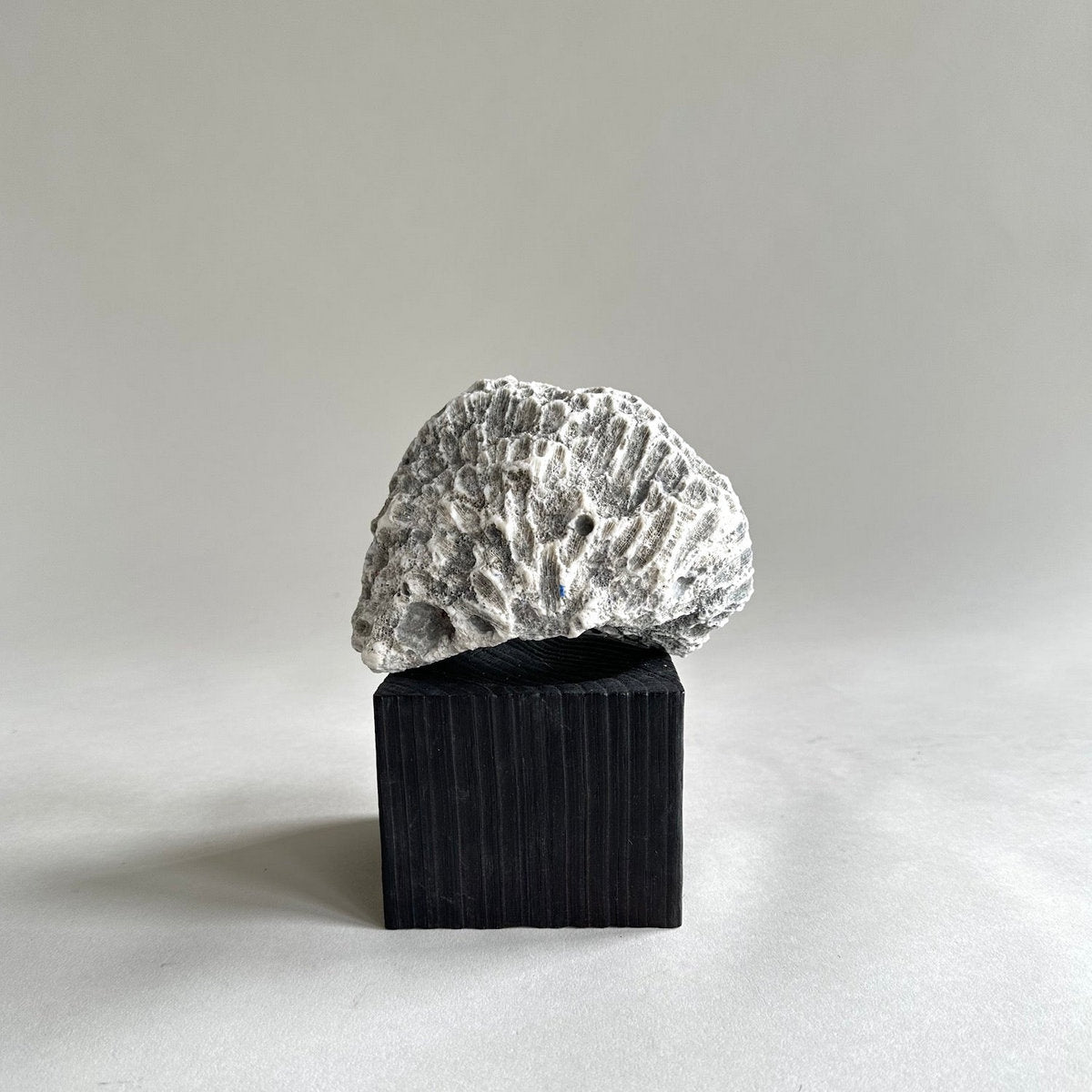 Jikoku Wood Base
