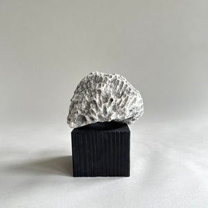 Jikoku Wood Base
