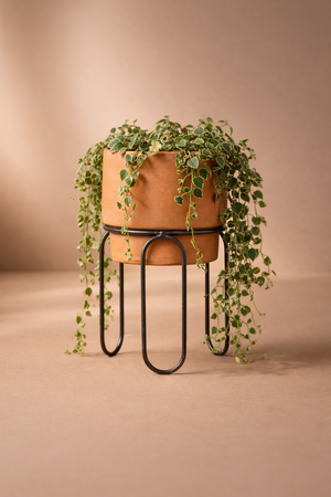 Jaro Terracotta Planters by MESO