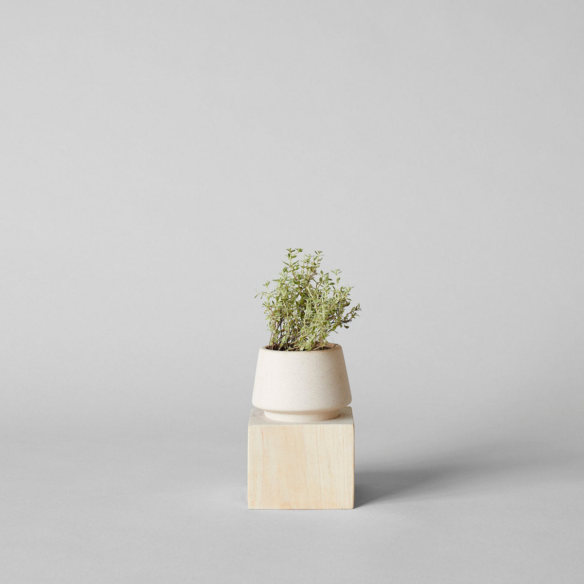 Jikoku Wood Base