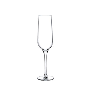 Refine Set of 2 Champagne Glasses