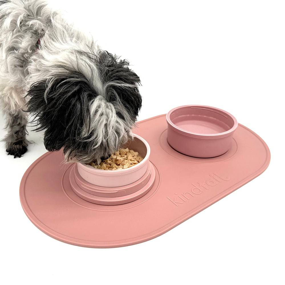 Portable & Travel Dog Bowl
