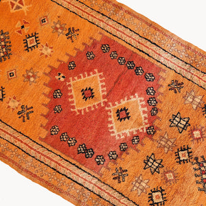 Kamala Moroccan Taznakht Rug | 5’1” x 9’7”
