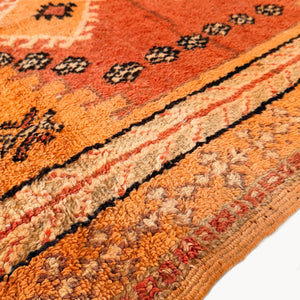 Kamala Moroccan Taznakht Rug | 5’1” x 9’7”