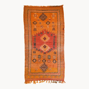 Kamala Moroccan Taznakht Rug | 5’1” x 9’7”