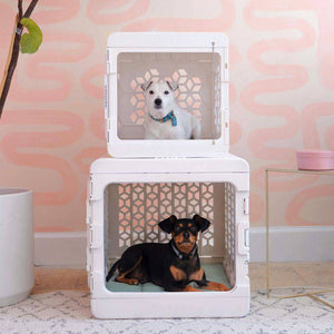 PAWD®  Modern Collapsible Dog Crate