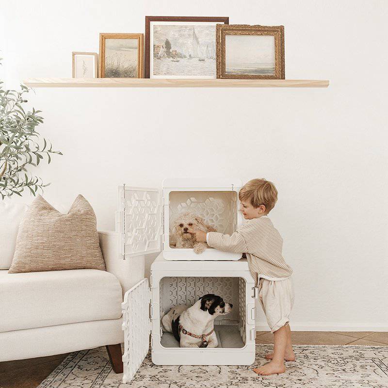 PAWD®  Modern Collapsible Dog Crate