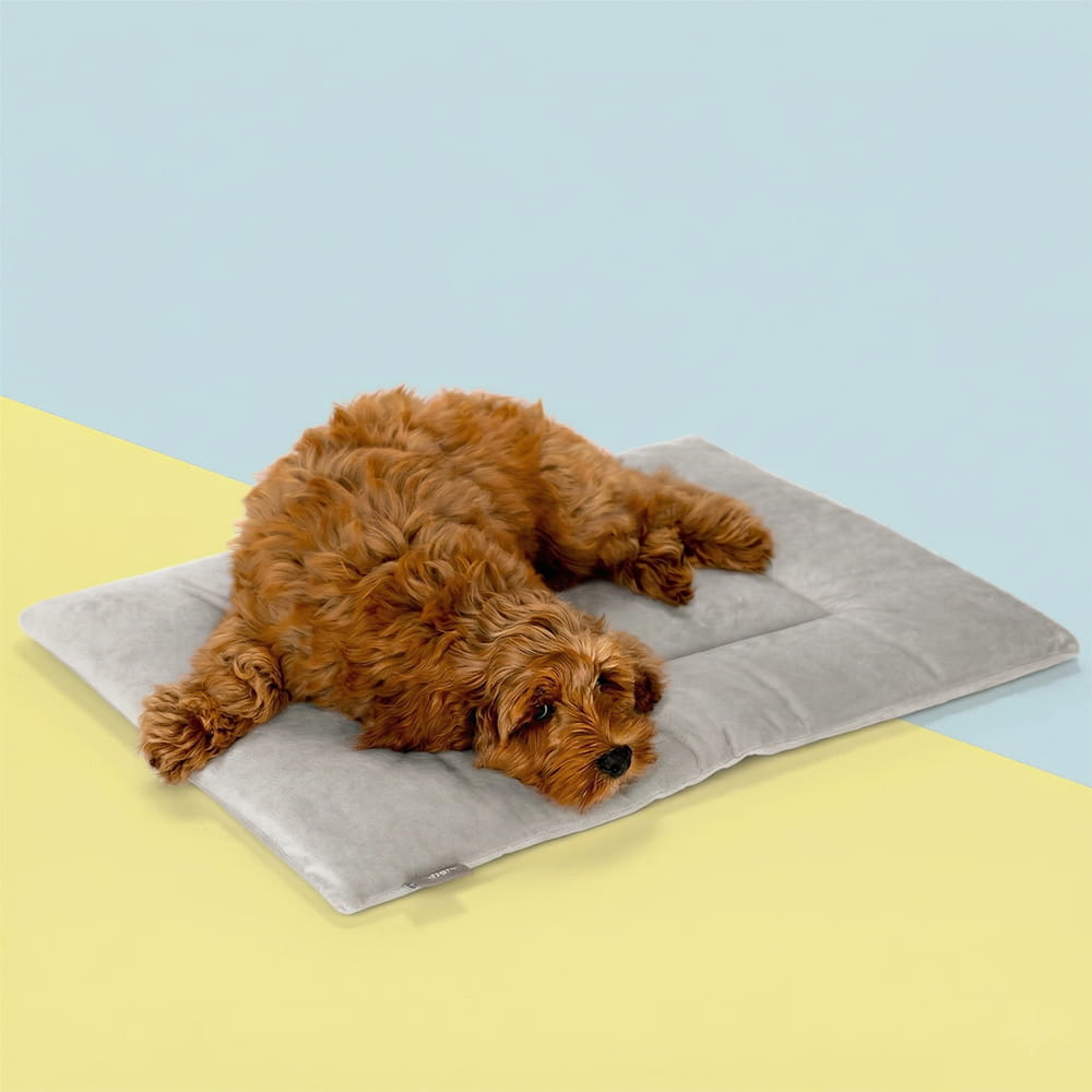 PAWD Crate Pad & Dog bed