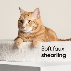 Kip Cat Bed