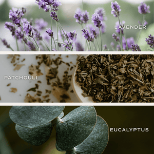 Calm and Comfort Clear Reed Diffuser (Self Care Lavender and Eucalyptus)