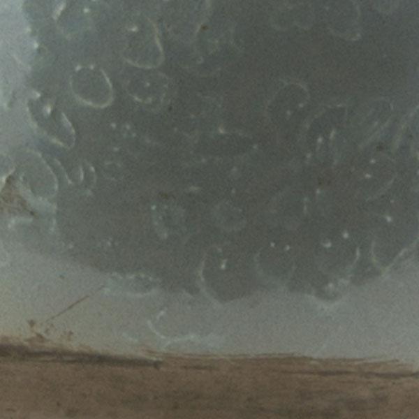 Batanovtsi Sage Decorative Sculpture