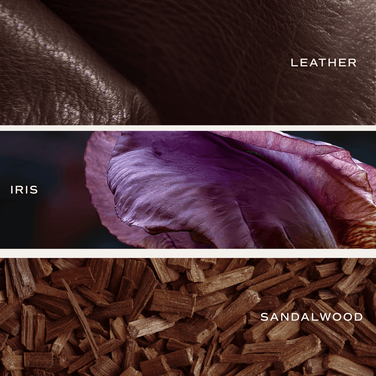 Luxury Getaway Clear Reed Diffuser