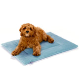 PAWD Crate Pad & Dog bed