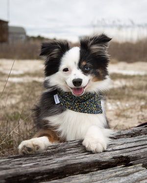 FLORAL BANDANA