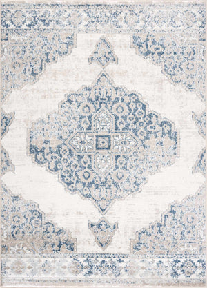 Amir Area Rug - Clearance