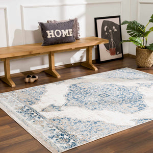 Amir Area Rug - Clearance
