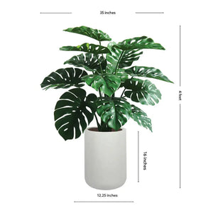 4' Monstera Plant in Modern Gray Planter