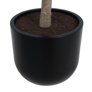 7' Faux Potted Money Tree
