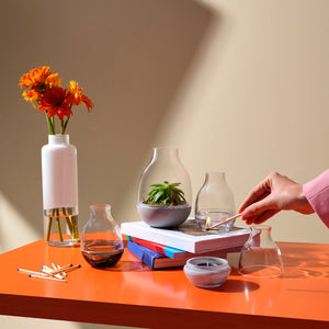 Eden Mini Terrarium Clear with Moulded Concrete Base